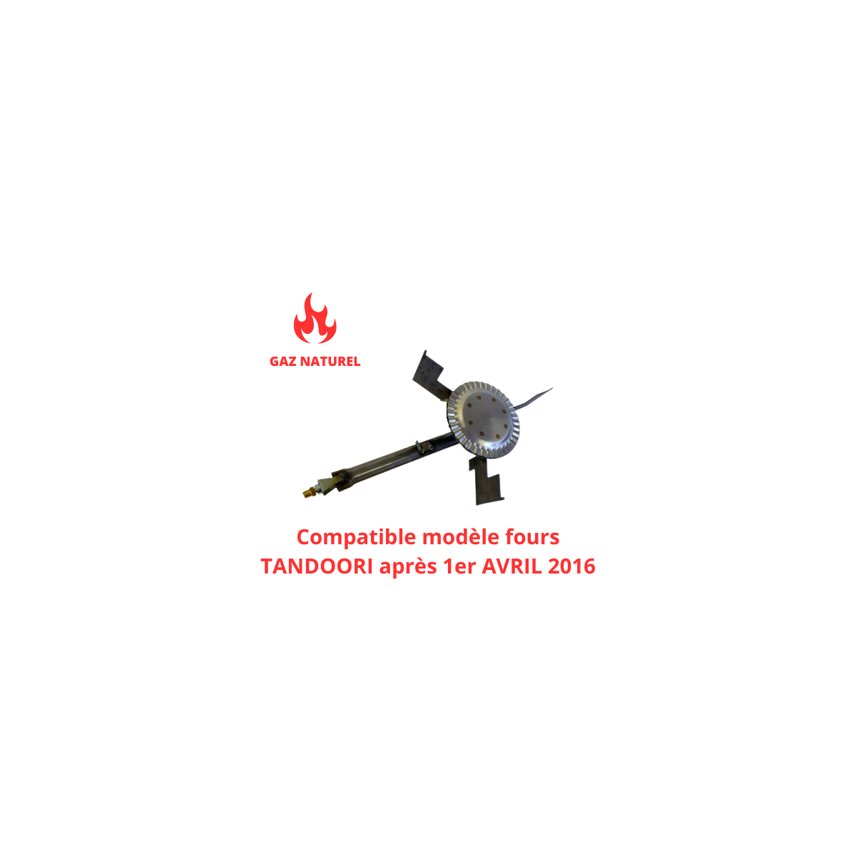 Brûleur gaz naturel pour Four Tandoori (A PARTIR D'AVRIL 2016) - GOLDINOX