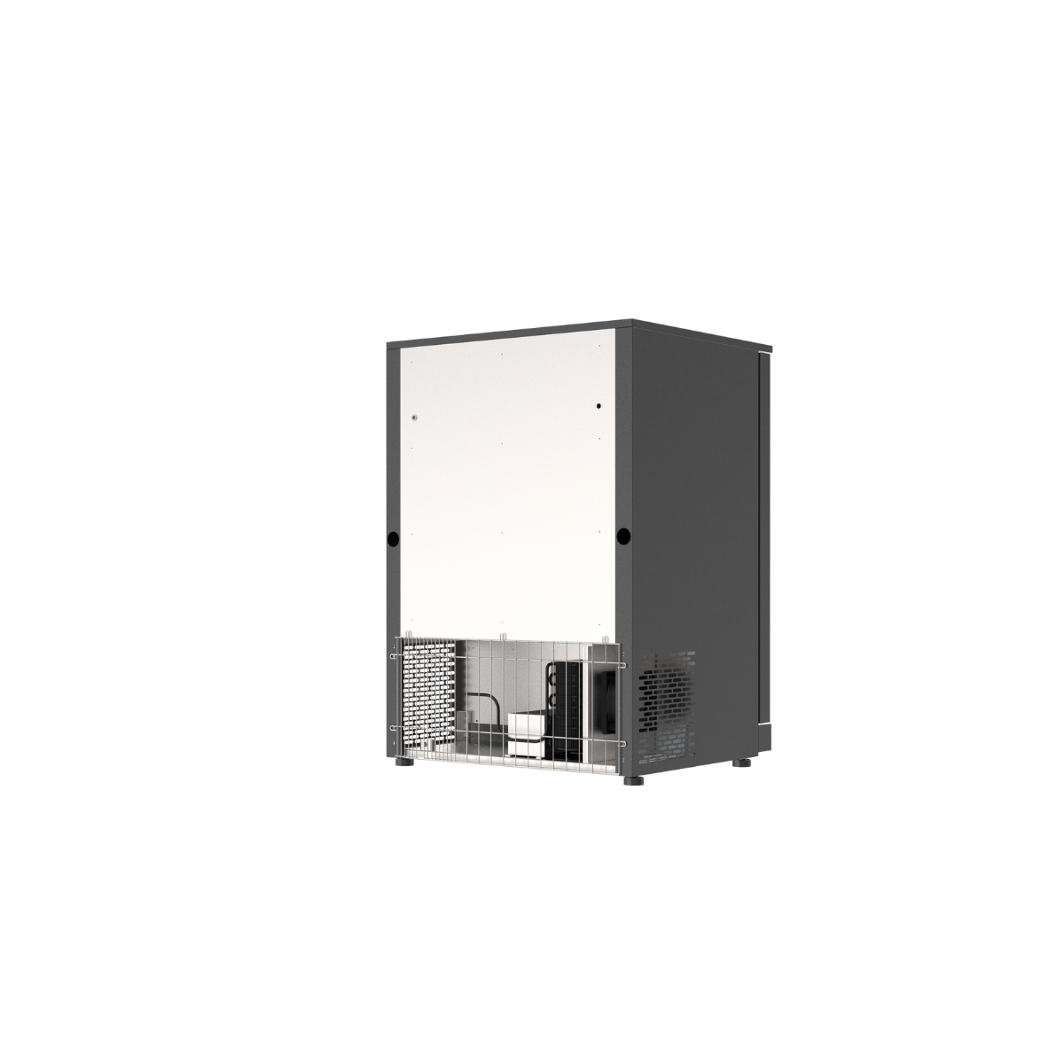 Arrière de bar - 1 porte pivotante vitrée / GOLDINOX